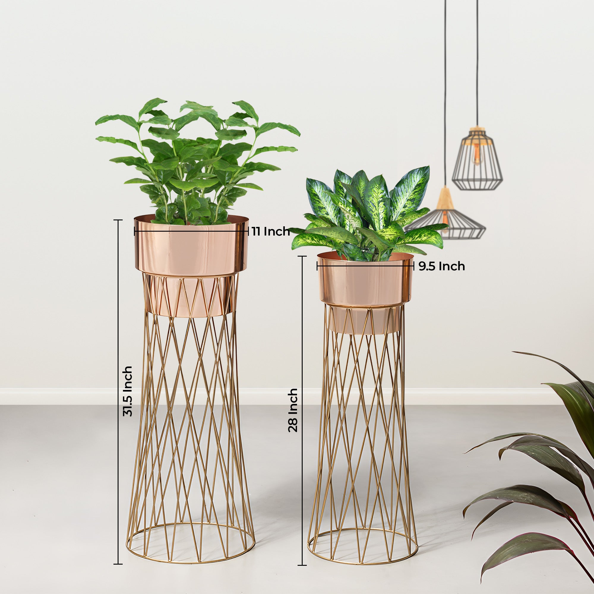 Zen Botanics Gold Stand & Ross Gold Pot Planters Set of 2