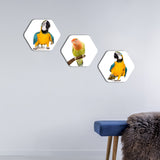 Hexagon Painting of Parrots Set of 3