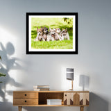 Premium Wall Frame Painting of Puppies Playing on The Grass