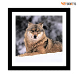 Wolf in Snow Premium Quality Wall Frame Painting