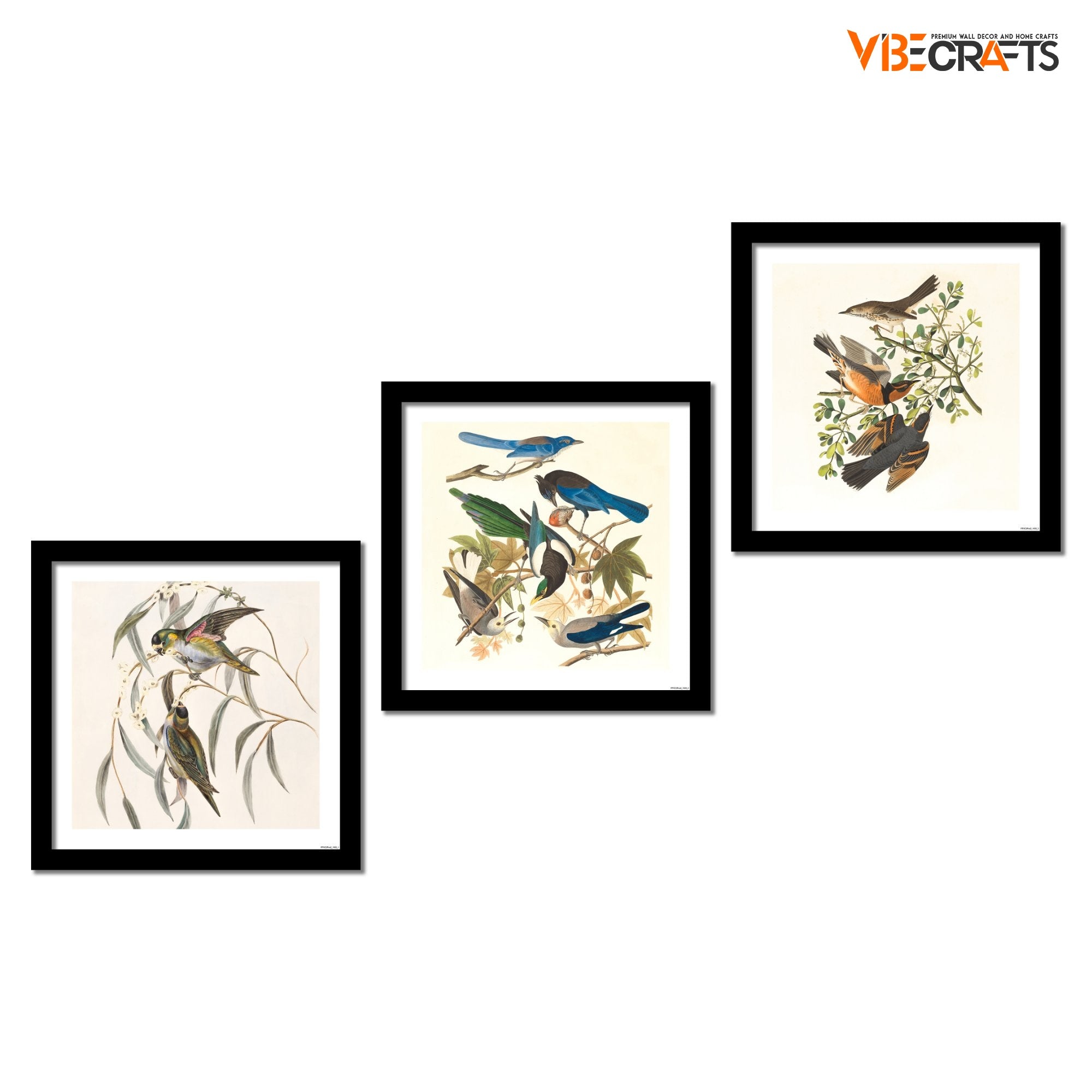 Premium 3 Pieces Wall Frame Painting of Birds on Tree Branch