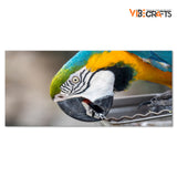 Macaw Parrot Premium Canvas Wall Painting