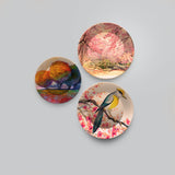 Premium 3 Pieces Ceramic Wall Plates Painting of Bird and Spring Season