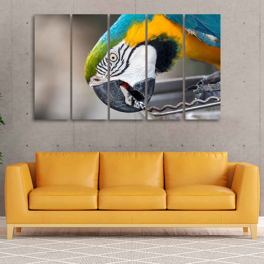 Macaw Parrot Canvas Wall Painting Set of Five