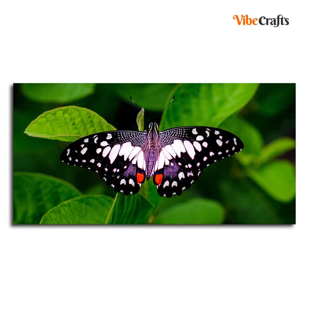 A Beautiful Butterfly on Leaf Premium Canvas Wall Painting