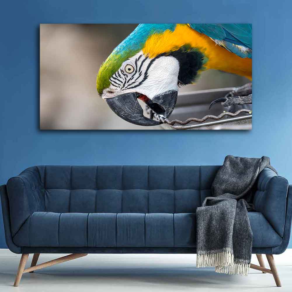 Beautiful Macaw Parrot Canvas Wall Painting