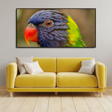 Colorful Parrot Premium Wall Painting
