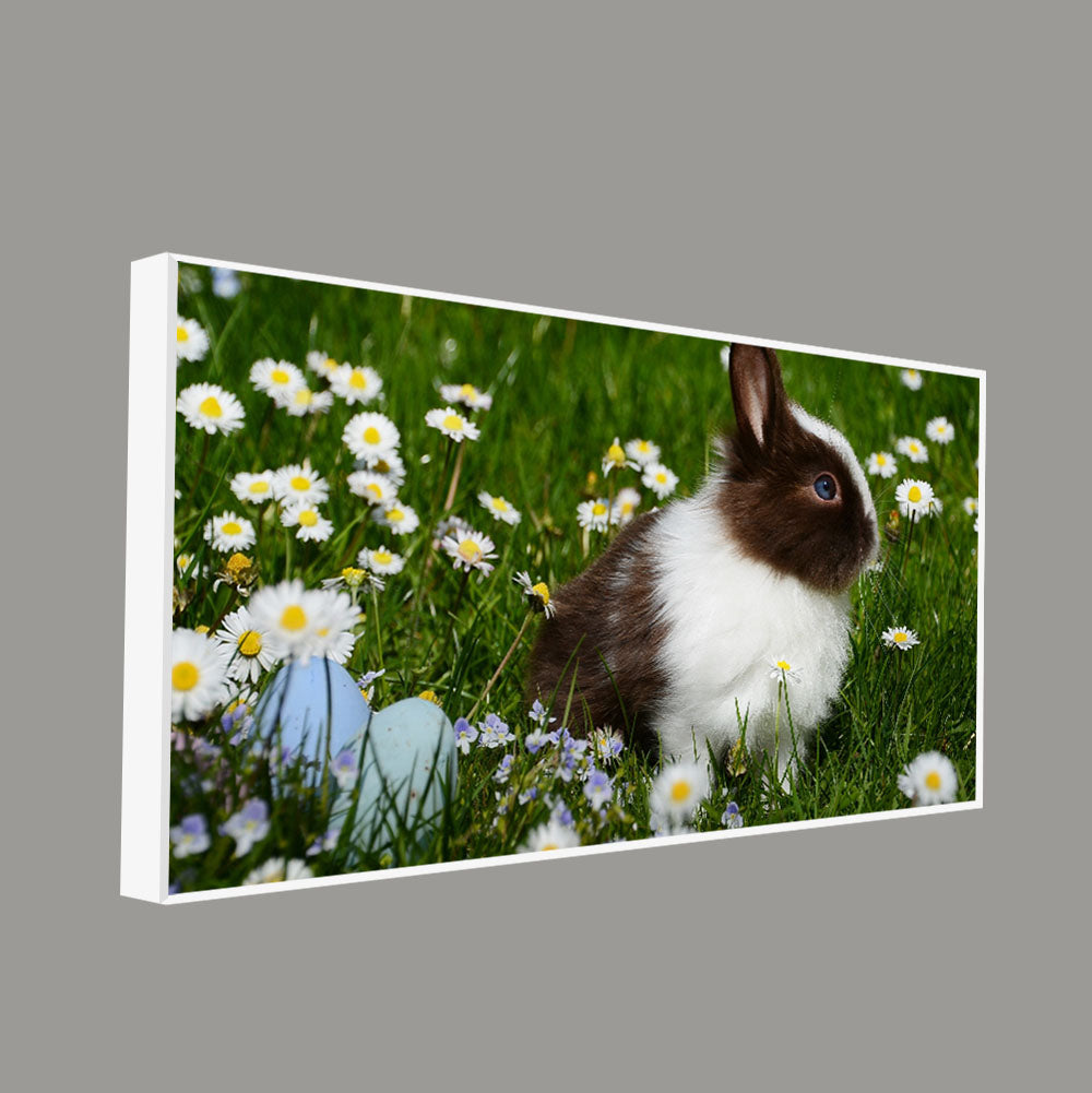 Cute Little White & Brown Bunny Premium Wall Painting