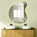 Designer Organic Shaped Wall Mirror with LED Light