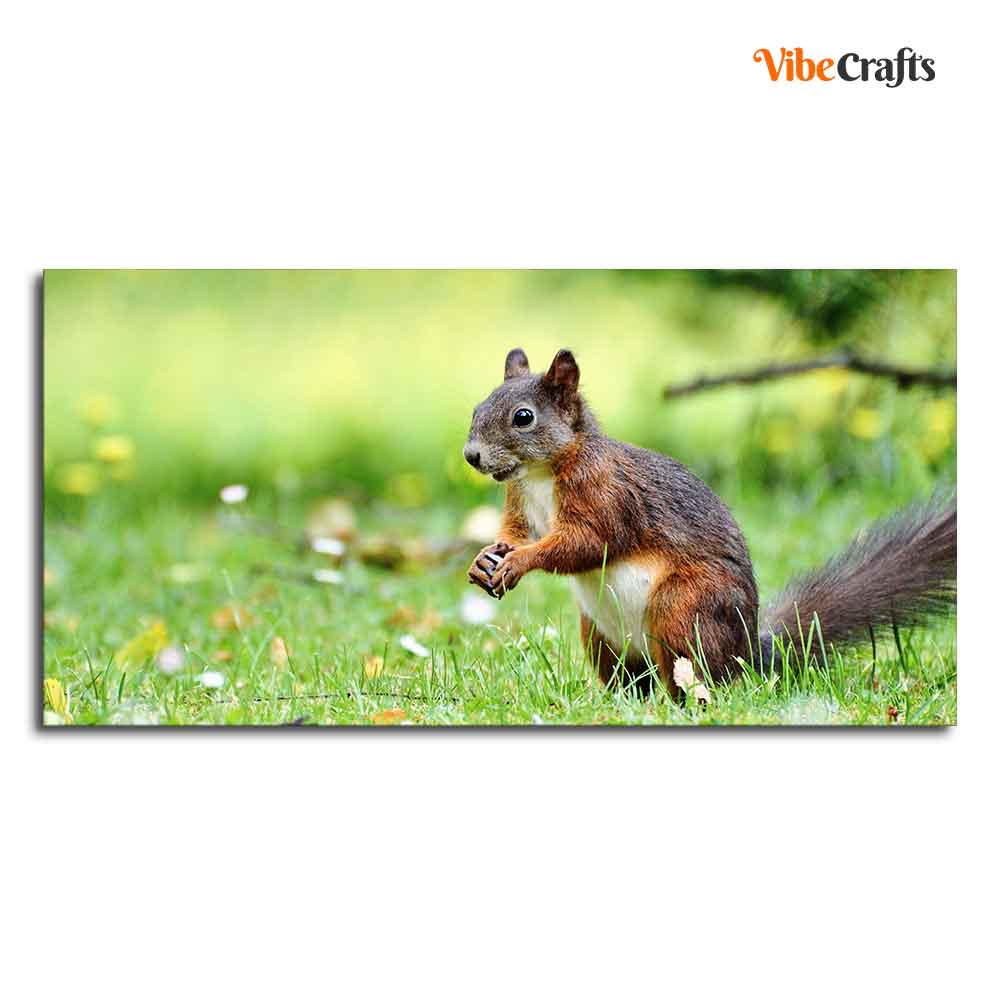 Little Squirrel in the Park Premium Wall Painting
