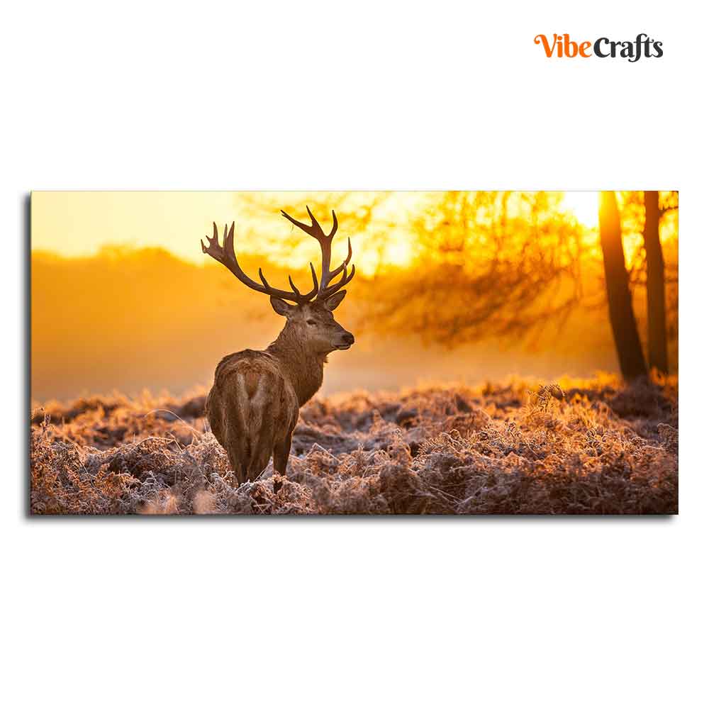  Red Deer in Forest at Sunrise