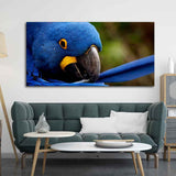 Premium Wall Painting of Blue Mascaw Parrot