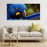 Wall Painting of Blue Mascaw Parrot