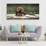 Wall Painting of Dog Swimming