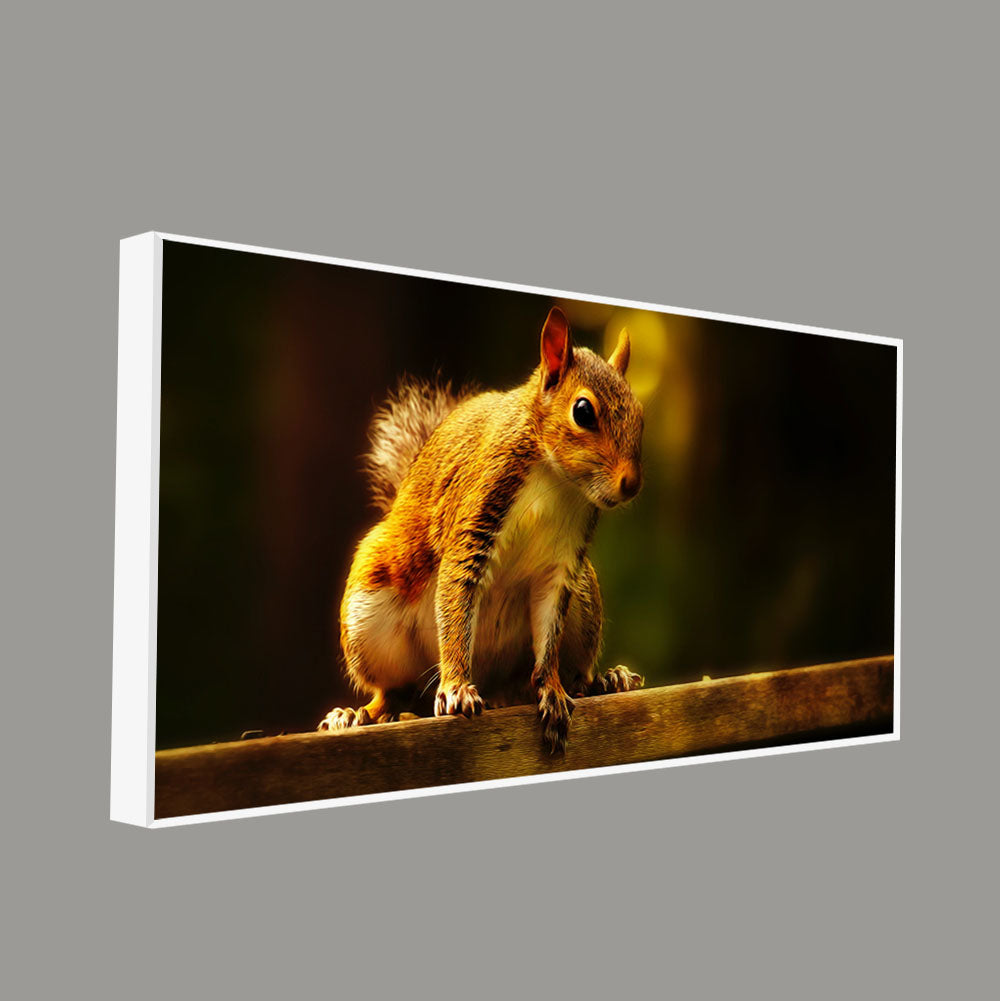Premium Wall Painting Squirrel in The Dark Forest