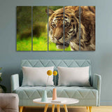 Tiger Canvas Wall Painting Set of Five
