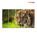 Tiger Canvas Wall Painting Set of Five