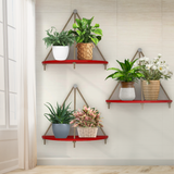 Wooden Wall Hanging Curved Shape Planter Shelf